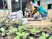 PKK Pasok Sayuran Mandiri