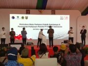 Nestle Butuh Ratusan Ribu Susu Sapi