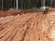 Dampak PSN KITB Jalan Desa Rusak Parah Seperti Lahan Pertanian