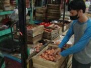 Akhir Tahun Harga Telur Melambung Tinggi