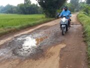 Ratusan Kilometer Jalan Kabupaten Batang Rusak, Desa Penyangga KITB Terparah