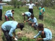 Ciptakan Napi Produktif, Lapas Kelas IIB Kendal Tanam – Panen Perdana Bawang Merah