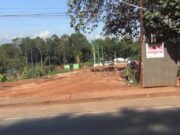 Dilarang Kementerian LHK, MJB Tetap Beroperasi di Lahan Perhutani
