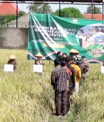 Gegara Minim Mesin Penggiling Padi, Gabah Petani Kendal Banyak Dijual Keluar Daerah
